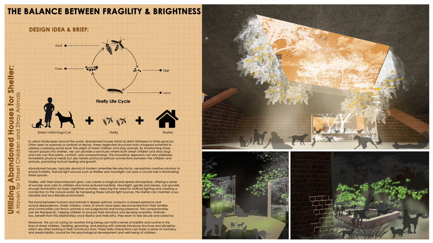 2024 The Balance Between Fragility and Brightness Daylight and